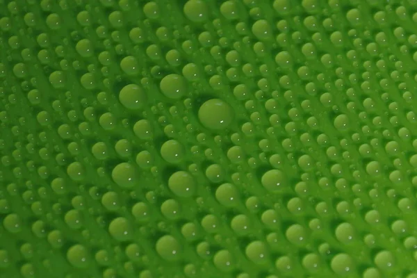 Gotas Água Ecologia Textura Fundo Verde Para Design — Fotografia de Stock