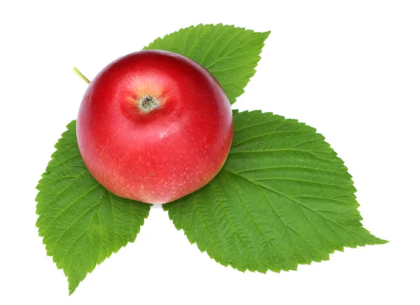緑のラズベリーの葉を持つ赤いアップルは 白い背景自然な写真を隔離します デザイン 3Dテクスチャ ゲーム制作のために — ストック写真