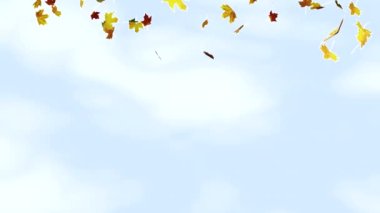 Sonbahar arkaplanı kıvrılarak düşen akçaağaç yaprakları parlak 