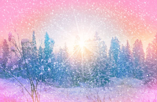 Christmas New Year Beautiful Snowy Forest Landscape — Stock Photo, Image