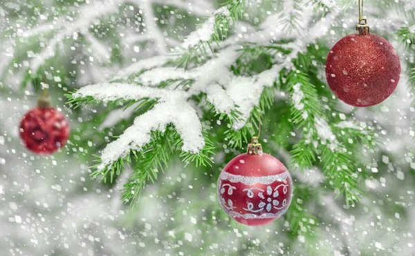Julgransgrenar Skogen Dekorerade Med Röda Bollar Jul Bakgrund Vykort — Stockfoto