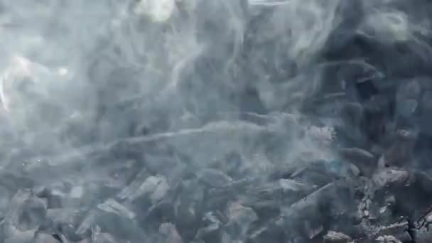 Dym Węgiel Grilla Tło Dla Tematu Kuchni Pieczenia Mięsa — Wideo stockowe