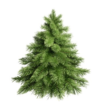 Üç boyutlu kabarık yeşil Noel ağacını izole edilmiş beyaza çevirin. Fotorealistik köknar ağacı.