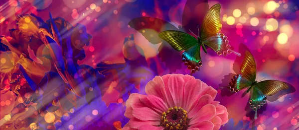 Pembe gerbera ve kelebek yelkenli bianosunun güzel çiçek arkaplanı