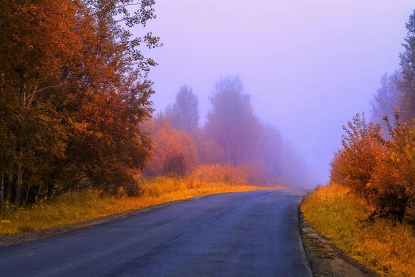 Höst Motorväg Väg Dimma Gula Träd Höstens Vägdimma Landsbygdens Natur — Stockfoto