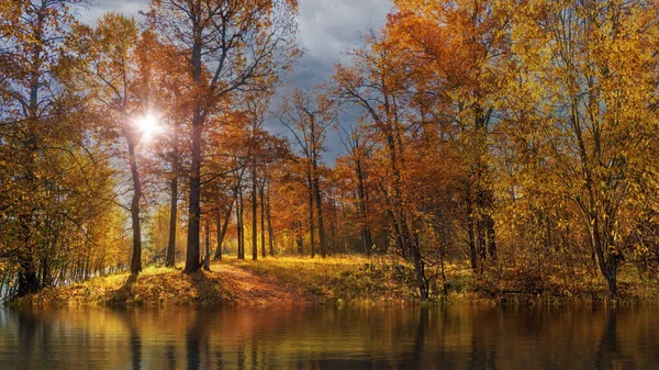 Bir meşe koruluğunun güzel sonbahar manzarası altın sonbahar kasidesindeki ağaçların bir yansımasıdır. Parlak güneş yağmur bulutları arasında