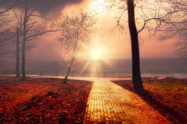 Güneşe giden yol. Sonbaharın sonlarında batan güneş parkının akşam manzarası