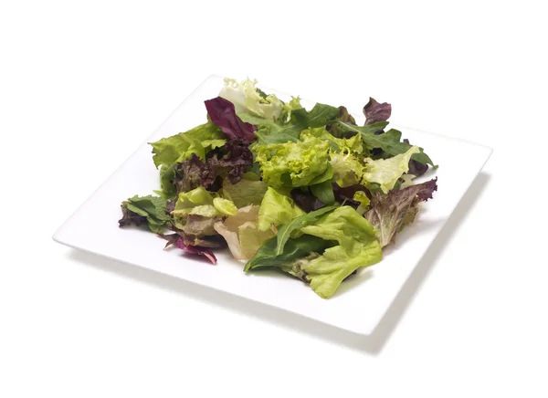 Míchaná zelenina salát — Stock fotografie