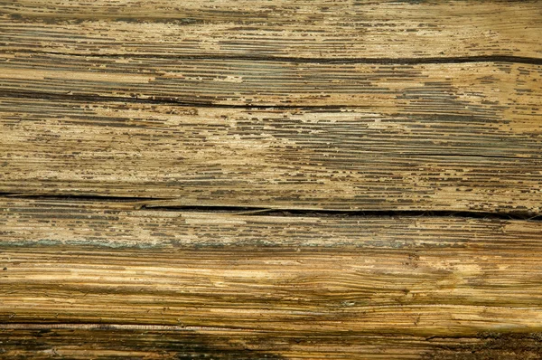 Old wood texture — Stock Photo, Image