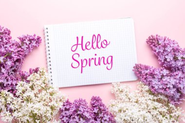 Bahar geliyor pembe arka planda güzel beyaz ve mor leylak brunch 'ları. Üst Manzara. Boşluğu Kopyala - Resim