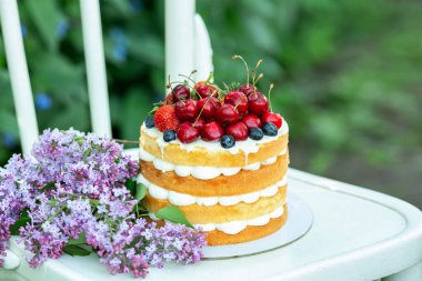 Ev yapımı yaz bisküvisi kremalı ve taze meyveli kek Bahçede leylak yumuşak odak