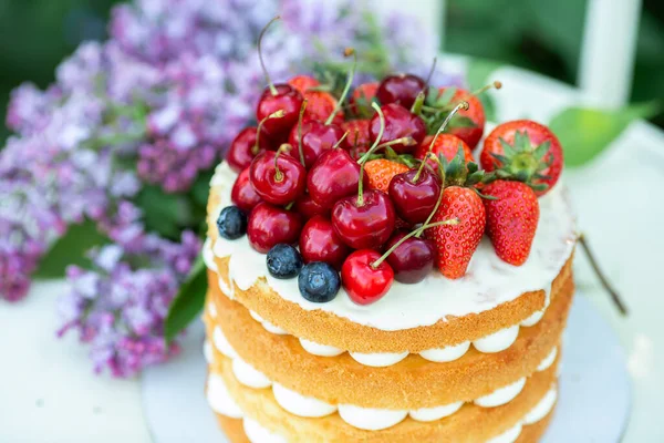 Ev yapımı yaz bisküvisi kremalı ve taze meyveli kek Bahçede leylak yumuşak odak