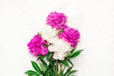 Beyaz arka planda pembe ve beyaz şakayıklar. Üst görünüm, alanı kopyala