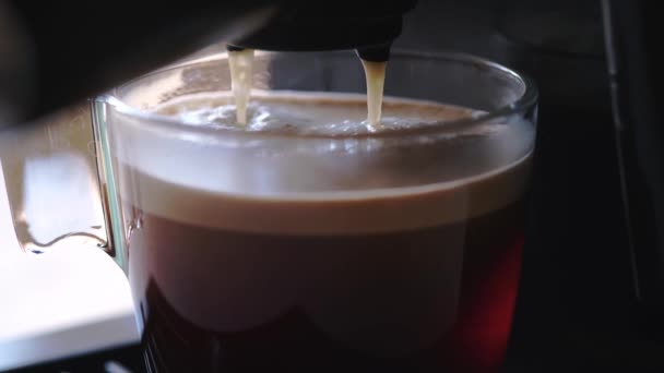 Close-up process of making espresso. Coffee machine prepares black coffee. Hot espresso running into glass cup. — Stock Video