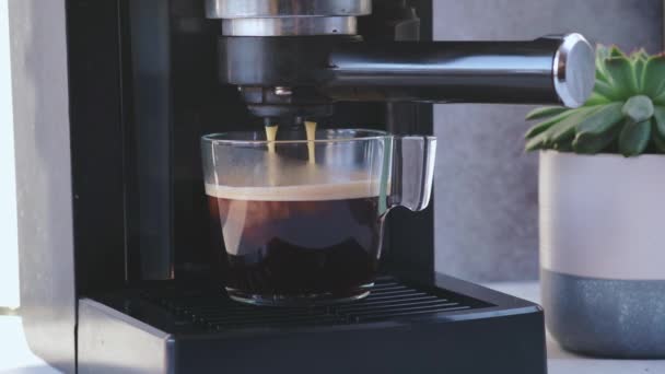 Kaffemaskin som lager espresso i gjennomsiktig kaffekopp. Kaffemaskin tilbereder svart kaffe – stockvideo