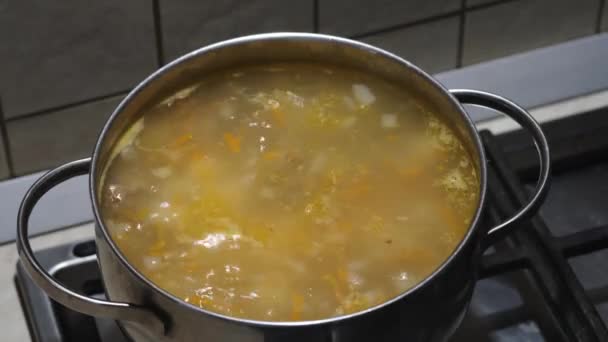 Hemlagad köttbullssoppa kokar i en kastrull på spisen. Kvinnors händer sätter kryddor. Närbild. Selektiv inriktning — Stockvideo