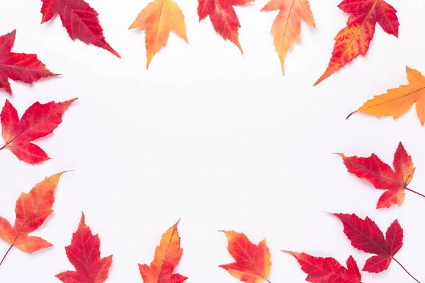 Herfstcompositie. Frame gemaakt van rode esdoorn bladeren op witte achtergrond. Kopieer ruimte voor je tekst. Herfst, herfst concept — Stockfoto