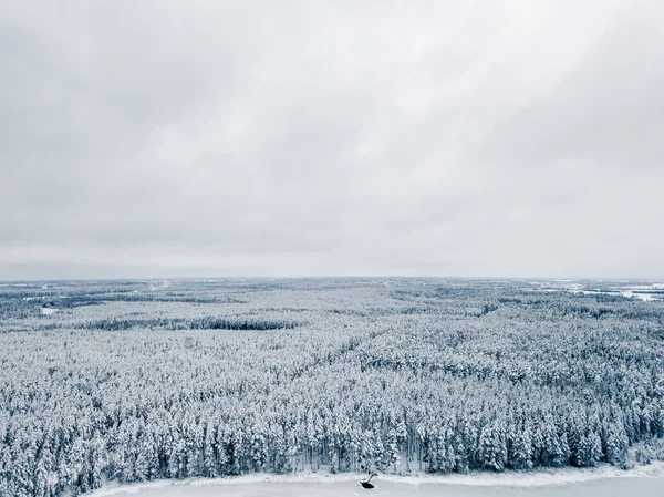 Cloudy Grey Sky Snowy Forest Winter Day Aerial Photo — Stock Photo, Image