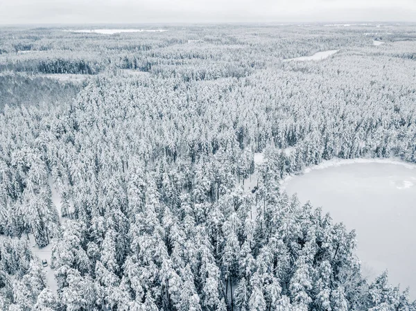 Letecký Pohled Zimní Les Pokrytý Sněhem Fotografie Dronů Stock Obrázky