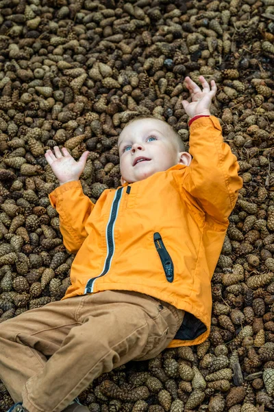 Young Boy Playing, Laying in Pine Cones in Orange Jacket - Happy Kid in Park