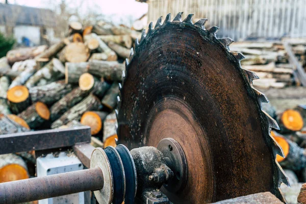 Circular Saw with Alder Log Pile in Background with Copy Space, Concept of Hard Work