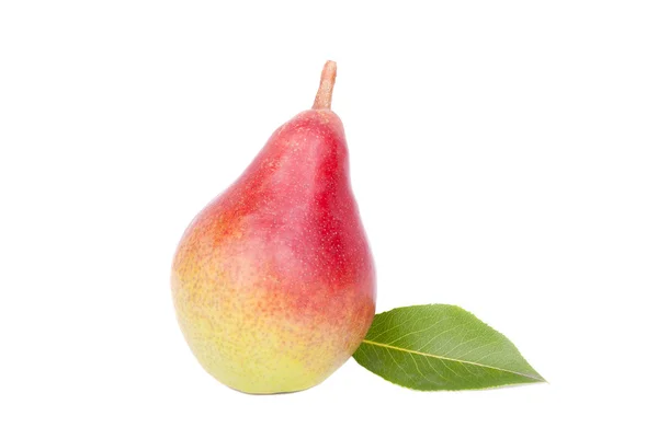 Ripe pear on white background. — Stock Photo, Image