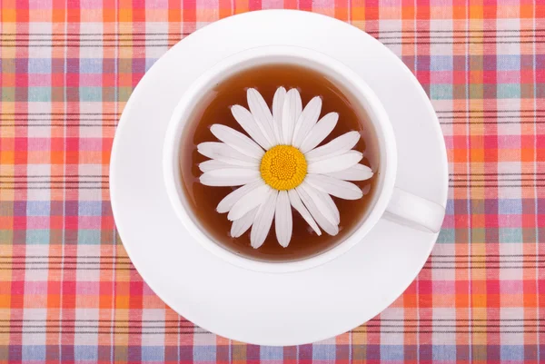 Chamomile tea. — Stock Photo, Image