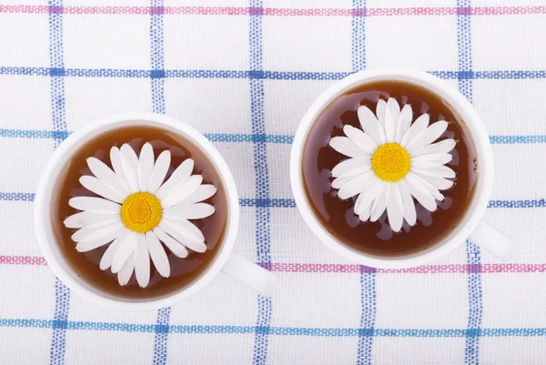 Chamomile tea. — Stock Photo, Image