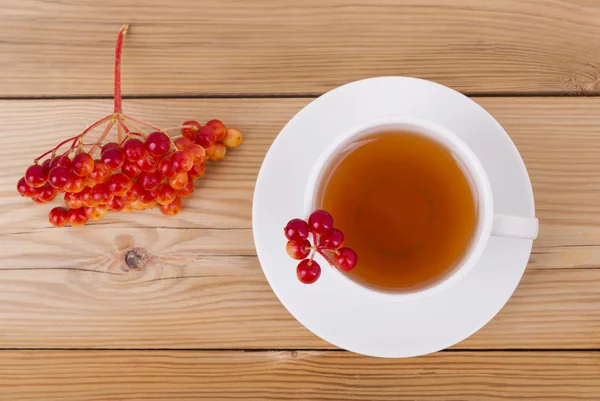 Tea with red viburnum berries — Stock Photo, Image