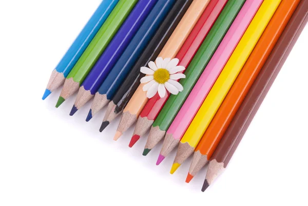Creioane izolate pe un fundal alb . — Fotografie, imagine de stoc