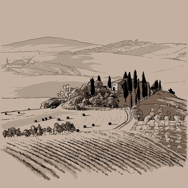 Paysage Italie. Collines et cyprès Illustration — Image vectorielle