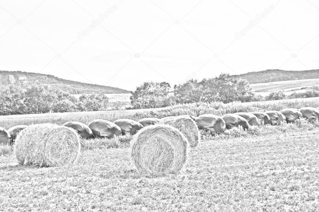 Summer landscape with a meadow of straw bales and hay with hills in the background all desaturated in color, leaving only the lines that define the scene daylight