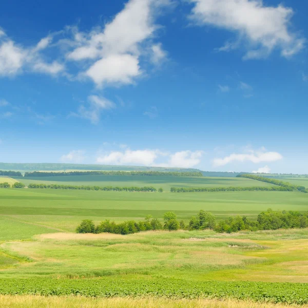 Zöld mező és kék ég világos felhőkkel — Stock Fotó