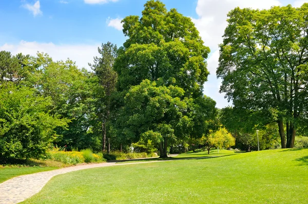 Parque, pradera verde y cielo azul — Foto de Stock