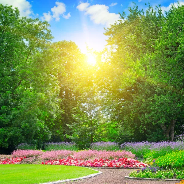 Summer park with beautiful flowerbeds — Stock Photo, Image