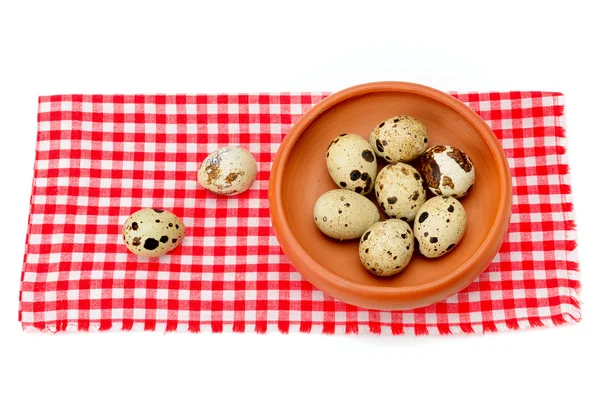 Quail eggs isolated on white background — Stock Photo, Image