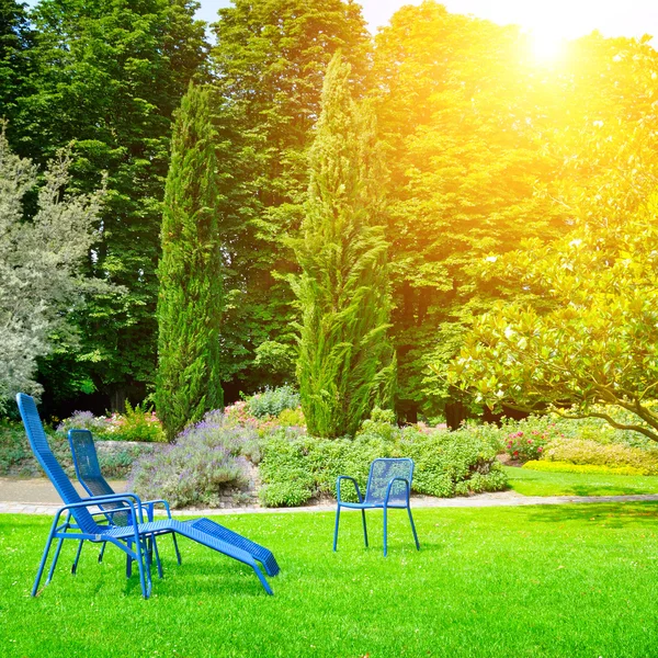 Beautiful summer park with lawn — Stock Photo, Image