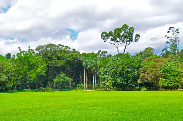 Park, grüne Wiese und blauer Himmel — Stockfoto