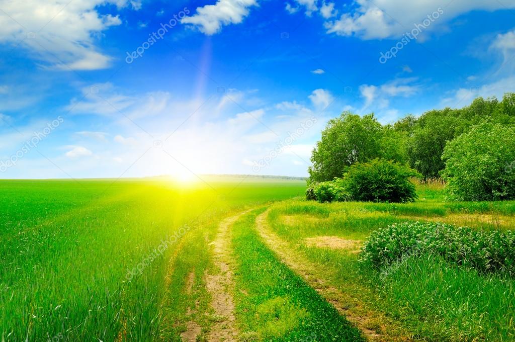 Green field and sun on blue sky Stock Photo by ©Alinamd 103981874