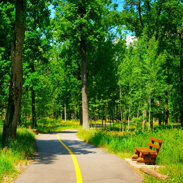 Zomer park met mooie wandelpaden — Stockfoto