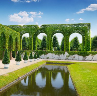 bir yaz parkta hedge