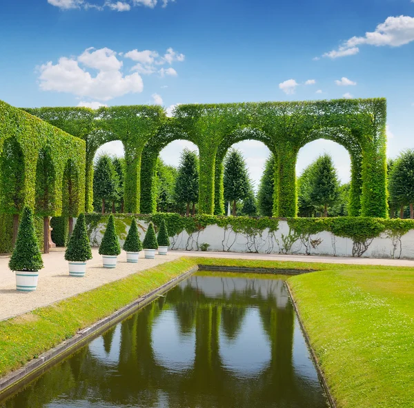 Säkring i en sommar park — Stockfoto