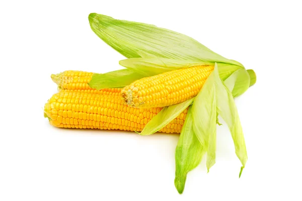 Corn cob isolated on white background — Stock Photo, Image