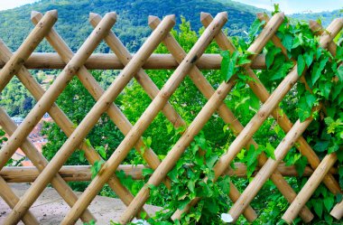 wooden fence and green plants clipart