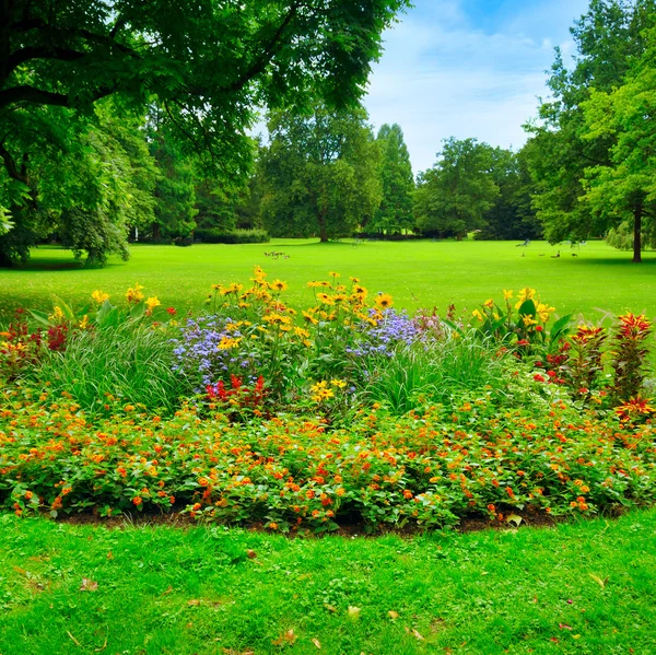 Letní park s krásnými záhony — Stock fotografie