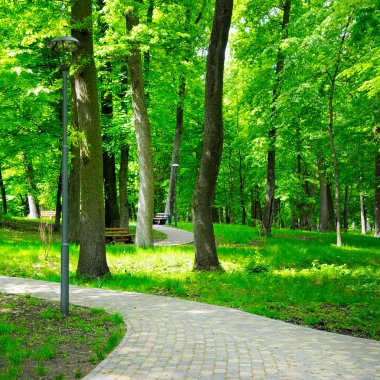 güzel yürüyüş yolları ile yaz park