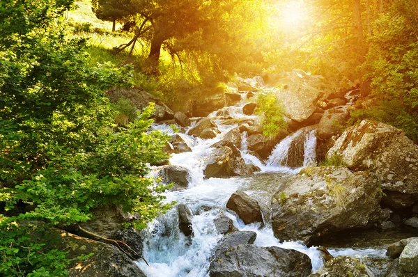 Mountain river, forest and bright sun — Stock Photo, Image