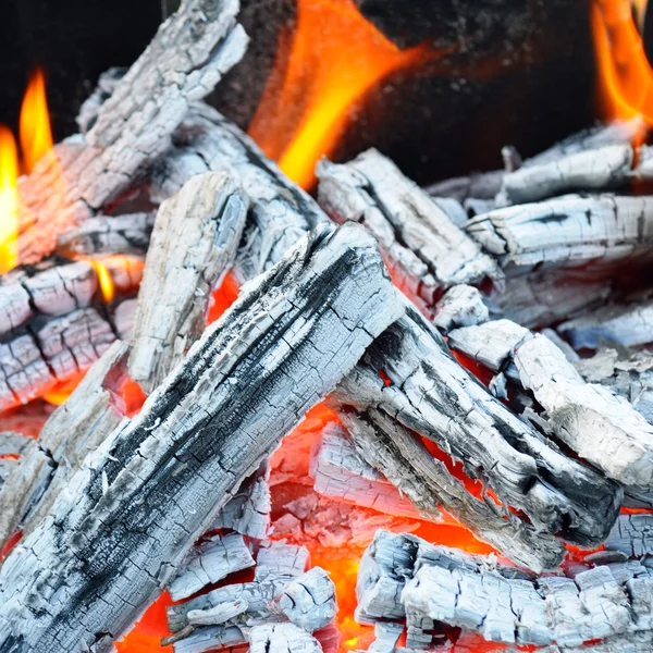 Tábortűz, tűz, fa-szén és hamu — Stock Fotó