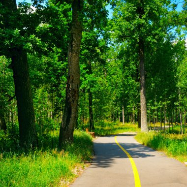 Park, yeşil çayır ve mavi gökyüzü