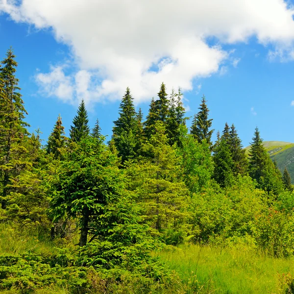 風光明媚な山、草原、青い空 — ストック写真